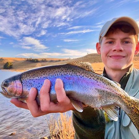 Copperleigh Trout Cottages Dargle 외부 사진