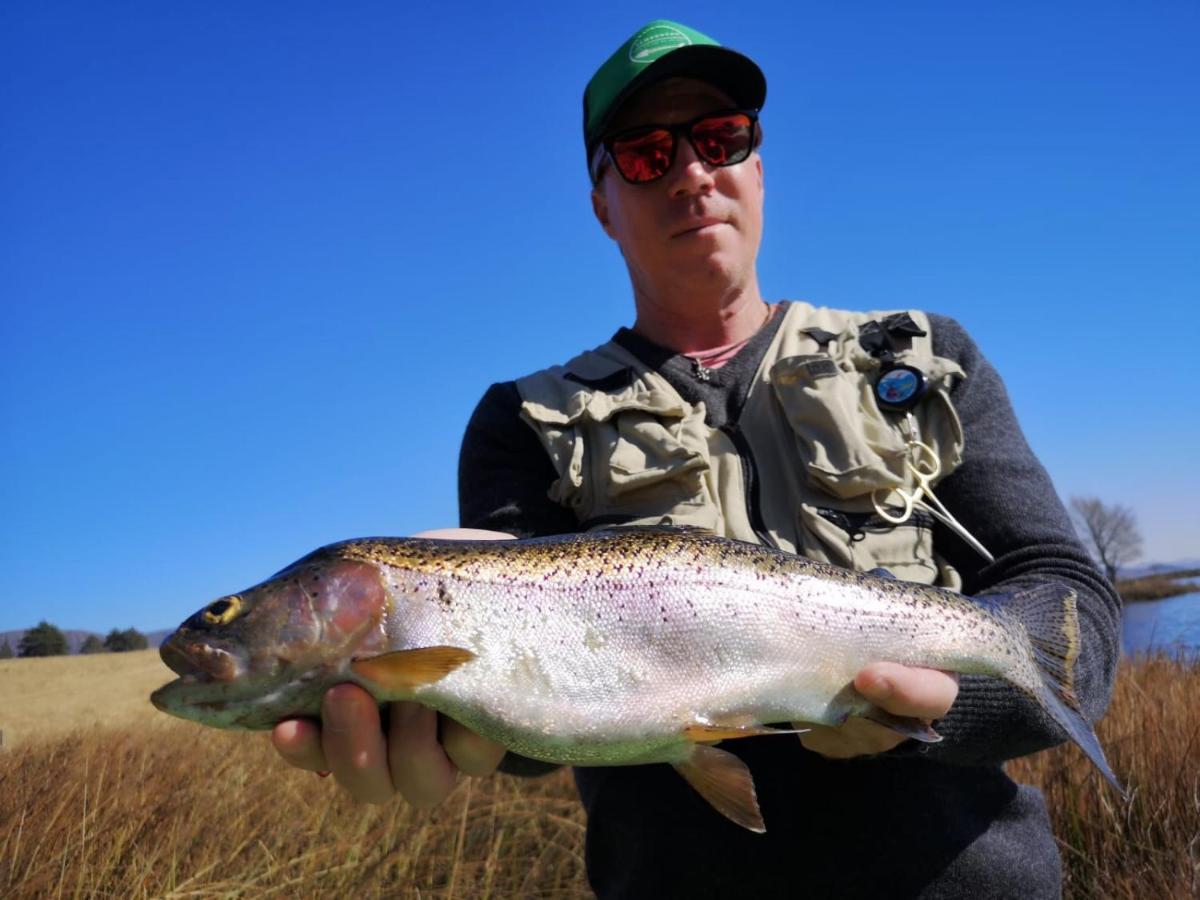 Copperleigh Trout Cottages Dargle 외부 사진